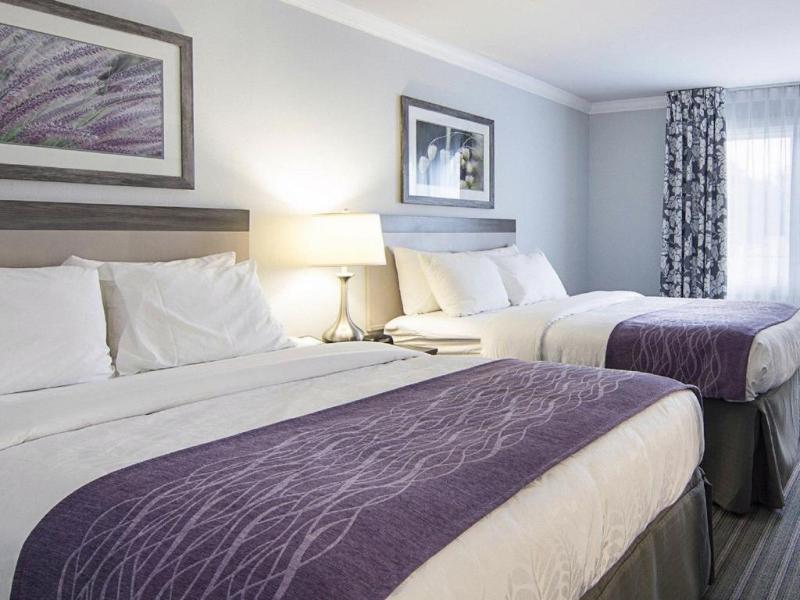 Days Inn By Wyndham Williamsburg Historic Area מראה חיצוני תמונה
